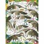 Книжка "Посмотри и найди: Джунгли" 104065 укр