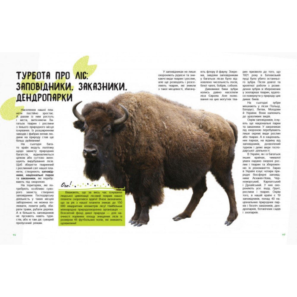 Детская книга "Мир и его тайны: Жизнь леса" 740002 на укр языке