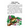 Детская книга 10 историй крупным шрифтом : О доброте 603005, 18 страниц