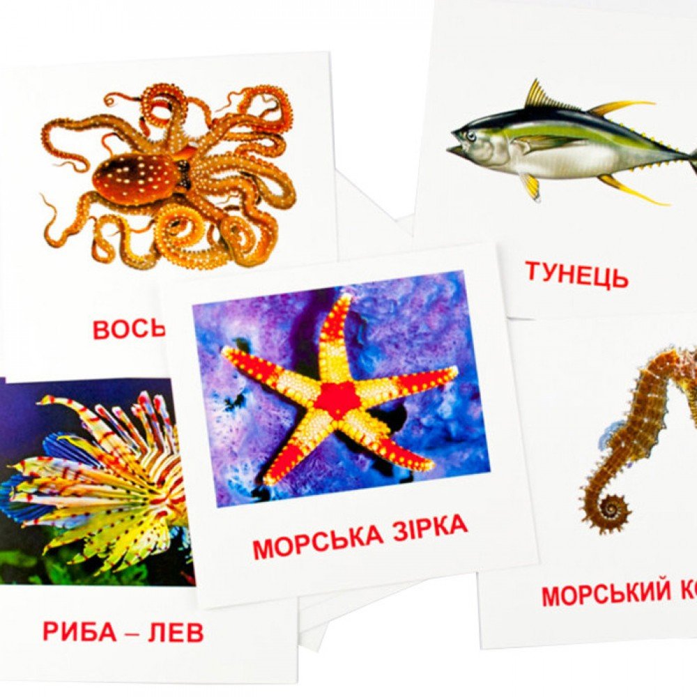 Развивающие карточки "Морские жители" 110х110 мм 72752 на укр /англ языке
