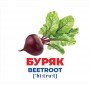 Набор развивающих карточек Гений с пеленок "Овощи" Ранок 10107194У, 17 карточек