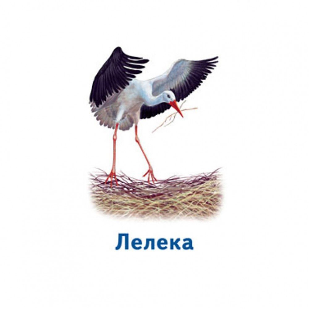 Настольная игра Парочки: Мир животных 1392003, 6 игр