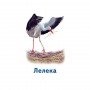 Настольная игра Парочки: Мир животных 1392003, 6 игр
