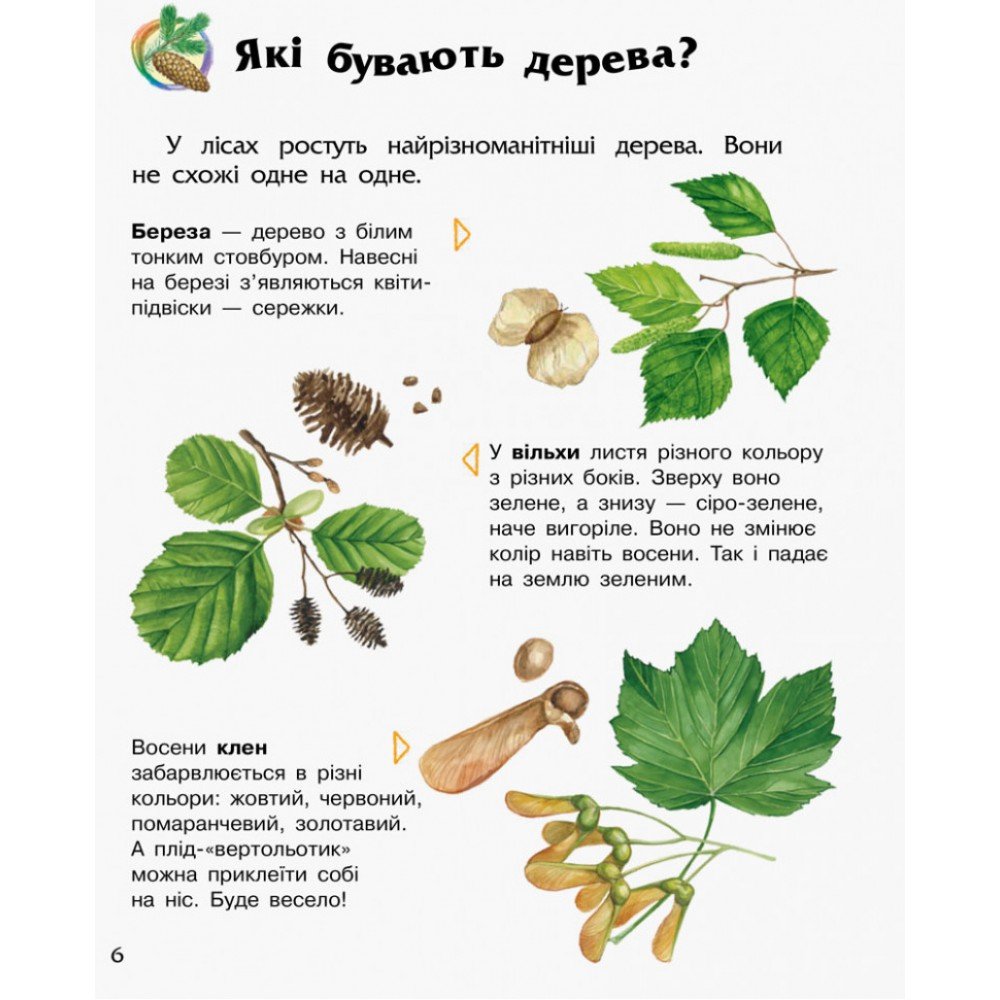 Детская энциклопедия про лес 614016 для дошкольников