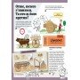 Детская энциклопедия: История автомобилей 626003 на укр языке