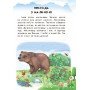 Детская книга 10 ис-то-рий по сло-гам с дневником : Прятки на отлично 271019, 16 страниц