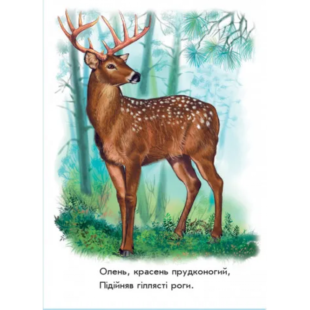 Книга детская Ребятам о зверятах Лесные зверята 212011 с аудиосопровождением