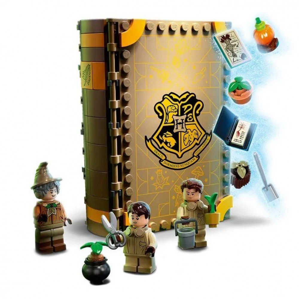 Детский конструктор HARRY POTTER "Учеба в Хогвартсе: Урок травологии" 60008