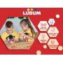Настольная игра "Чудо в перьях" LG2045-07 русский язык