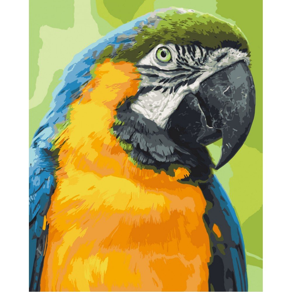 Картина по номерам Art Craft "Попугай Ара" 38х50 см 11626-AC