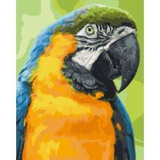 Картина по номерам. Art Craft "Попугай Ара" 38*50 см 11626-AC