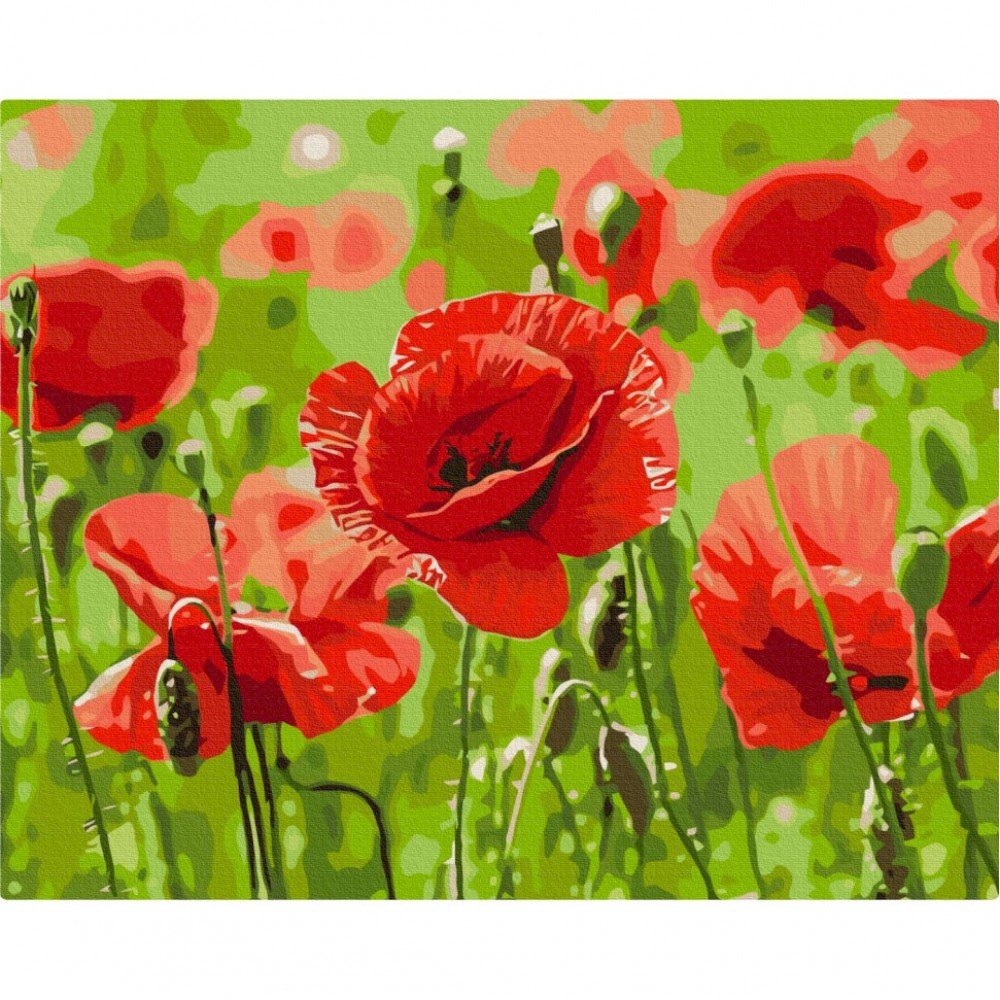 Картина по номерам "Красные маки" BS53703, 40х50см Картина по номерам "Красные маки" BS53703, 40х50см