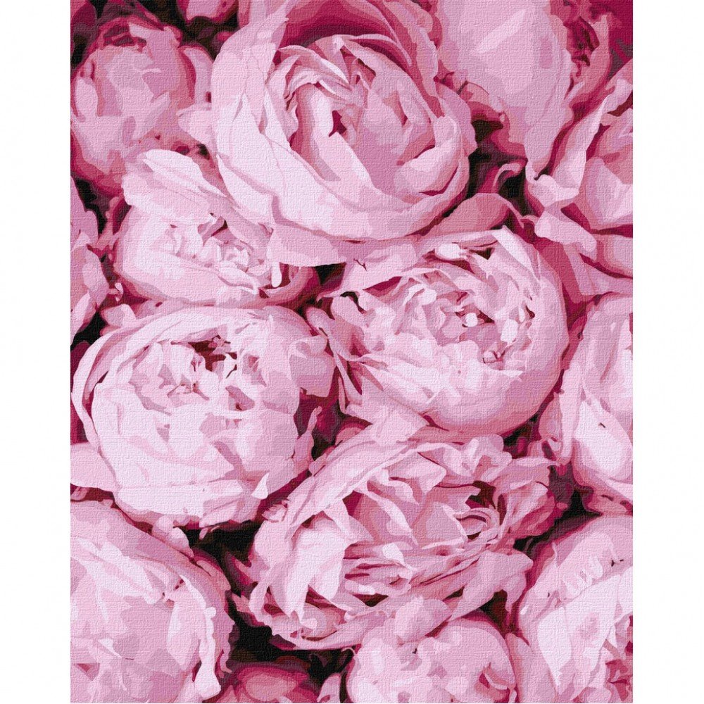 Картина по номерам "Розовая нежность" Идейка KHO2998 40х50 см