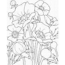 Роспись на холсте. Art Craft "Маки" 25х30 см 15506-AC