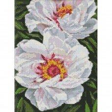 Алмазная мозаика "Белые пионы" AMO7753 30х40 см