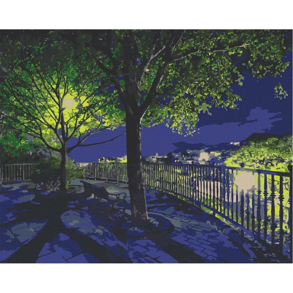 Картина по номерам Art Craft "Ночной парк" 38х50 см 10532-AC