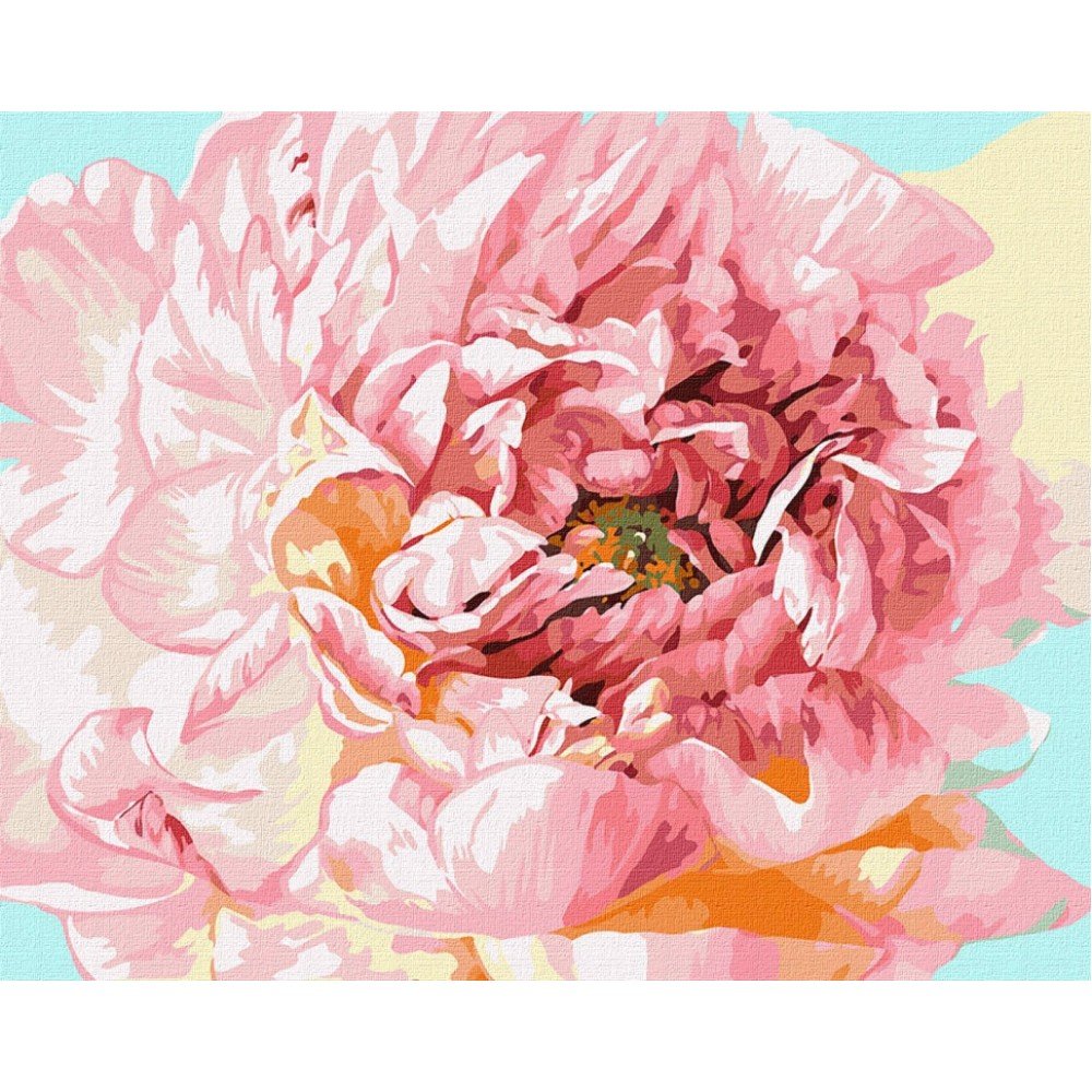 Картина по номерам "Нежный пион" Идейка KHO2996 40х50 см