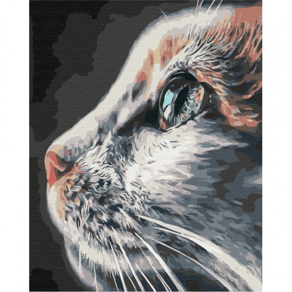 Картина по номерам "Котопрофиль" Brushme BS51792 40х50 см