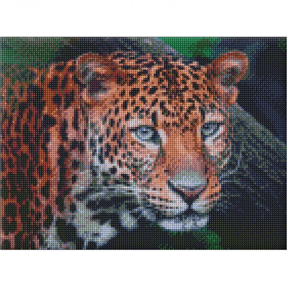 Алмазная мозаика "Дикий взгляд" Идейка AMO7203 30х40 см