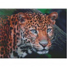 Алмазная мозаика "Дикий взгляд" Идейка AMO7203 30х40 см