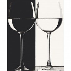 Картина по номерам "Черное и белое" Art Craft 12144-AC 40х50 см 