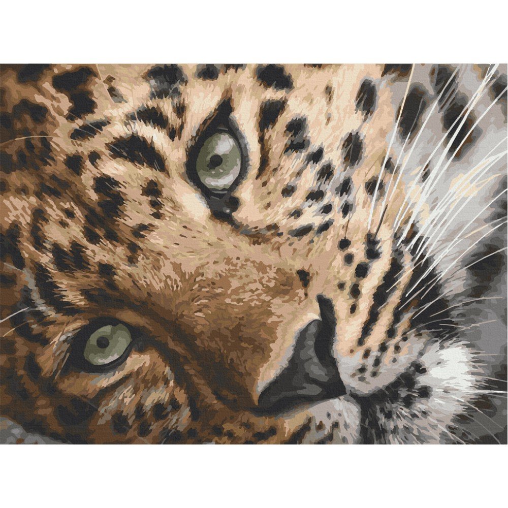 Картина по номерам Art Craft "Леопард" 40х50 см 11635-AC
