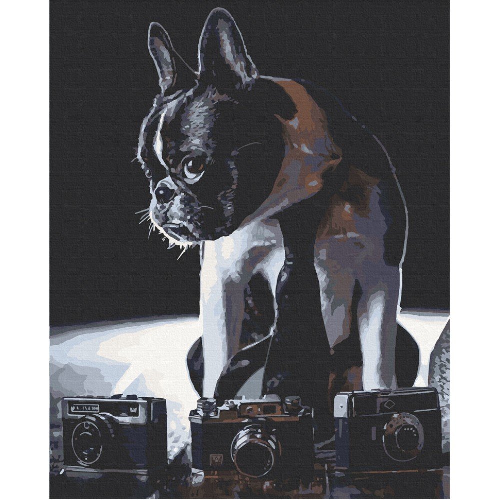 Картина по номерам Art Craft "Застенчивый фотограф" 40х50 см 11642-AC