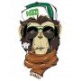 Картина по номерам Rosa „Brutal Gorilla“ 35х45см N00013211