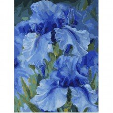Картина по номерам "Голубые ирисы" ©Юлия Томеско KHO2988 30х40 см Картина по номерам "Голубые ирисы" ©Юлия Томеско KHO2988 30х40 см