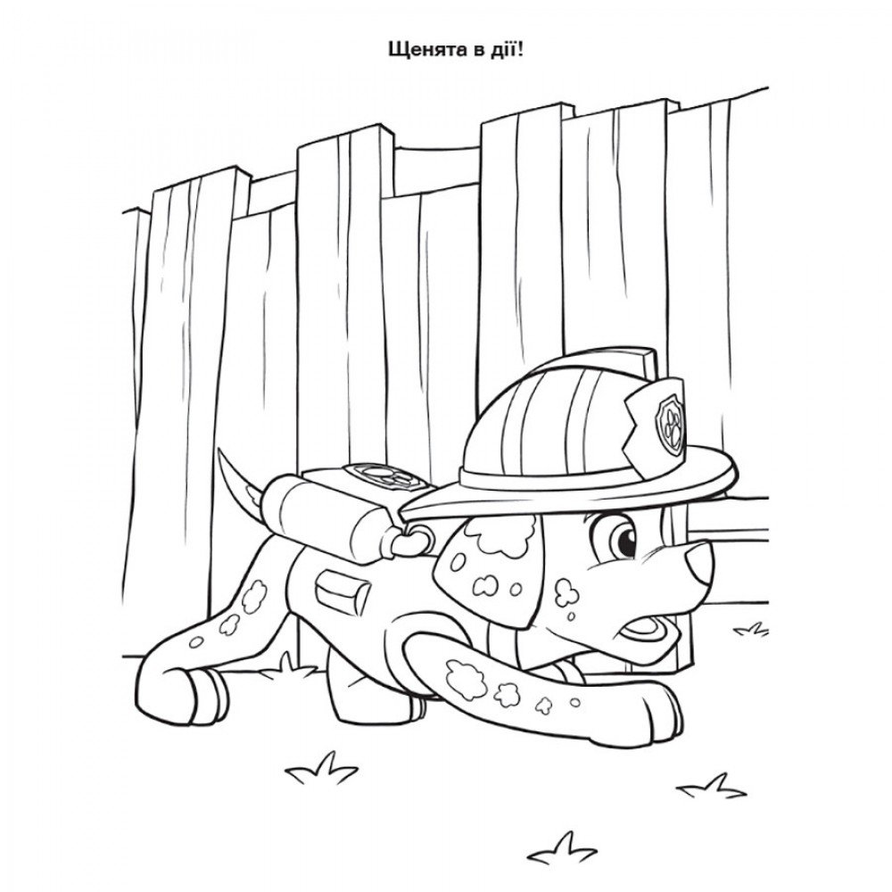 Приключенческие раскраски "Торт-тастрофа" 233002 Щенячий Патруль