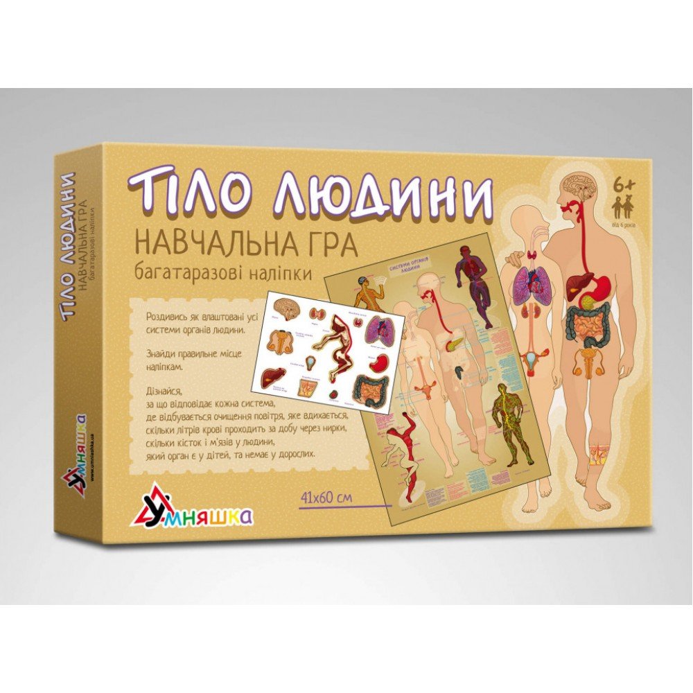 Детская обучающая игра с многоразовыми наклейками "Тело человека" KP-004y на укр языке