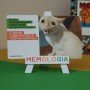 Игра настольная Мемология MemoGames 0001MG с мольбертом подставкой