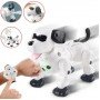 Собака на радиоуправлении Happy Cow 777-602 управление рукой