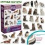 Набор магнитов Magdum "Породы кошек" ML4031-13 EN