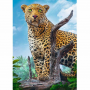 Пазлы "Дикий леопард" Trefl 37332T 500 эл