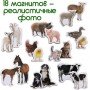 Набор магнитов Magdum "Ферма Мамы и малыши" ML4031-08 EN
