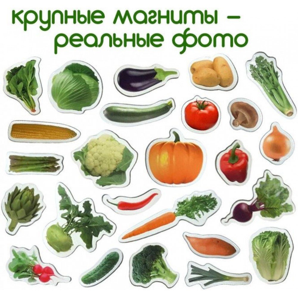 Набор магнитов Magdum "Овощи" ML4031-12 EN