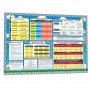 Обучающий коврик Русский язык 1-4 134167 А3