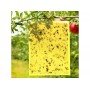 ŻÓŁTE LEPY DO DONICZEK NA MSZYCE 10SZT 20x15cm
