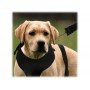 Lucky Leash szelki z wbudowaną smyczą L/XL