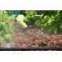 Микроджет Presto-PS капельница для полива Шуруп 90 л/ч 180° MJS-018