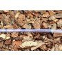 Шланг пвх пищевой Presto-PS Сrystal Tube диаметр 20 мм, длина 50 м PVH 20 PS