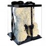 Мишка из роз 3D 25 см белый с бантом в подарочной упаковке