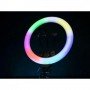 Светодиодная кольцевая лампа F133/1 RGB 45 см Светодиодная кольцевая лампа F133/1 RGB 45 см