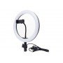 Кольцевая LED лампа AL-360 (1 крепл.тел) (пульт) 220V (36см)