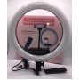 Кольцевая LED лампа AL-360 (1 крепл.тел) (пульт) 220V (36см)