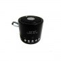 Колонка Мини портативная WSTER WS-A8 с MP3, USB и FM-pадио