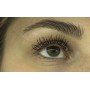 Тушь для ресниц Luxvisage Absolute Веерный супер обьем, Black, 8 мл