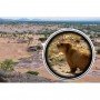 Монокуляр Panda 35x50 сверхмощный с креплением для телефона и треногой