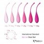 Набор вагинальных шариков FEMMEFIT ADVANCED, 6 шт 281455 Feelztoys
